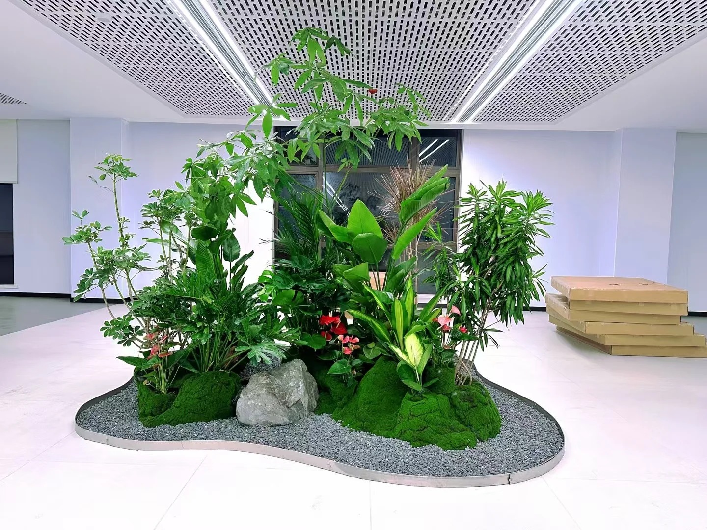 余姚植物出租,服务超贴心,你还不快来体验?